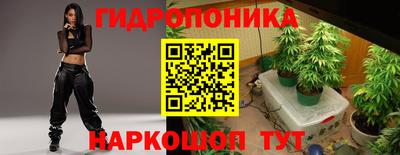 мяу мяу мука Будённовск